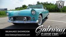 1955 Ford Thunderbird for Sale