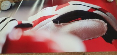 Ein ungewöhnlicher Blick auf das Cockpit der Ferrari Formel 1. Doppelseitig 90x50cm