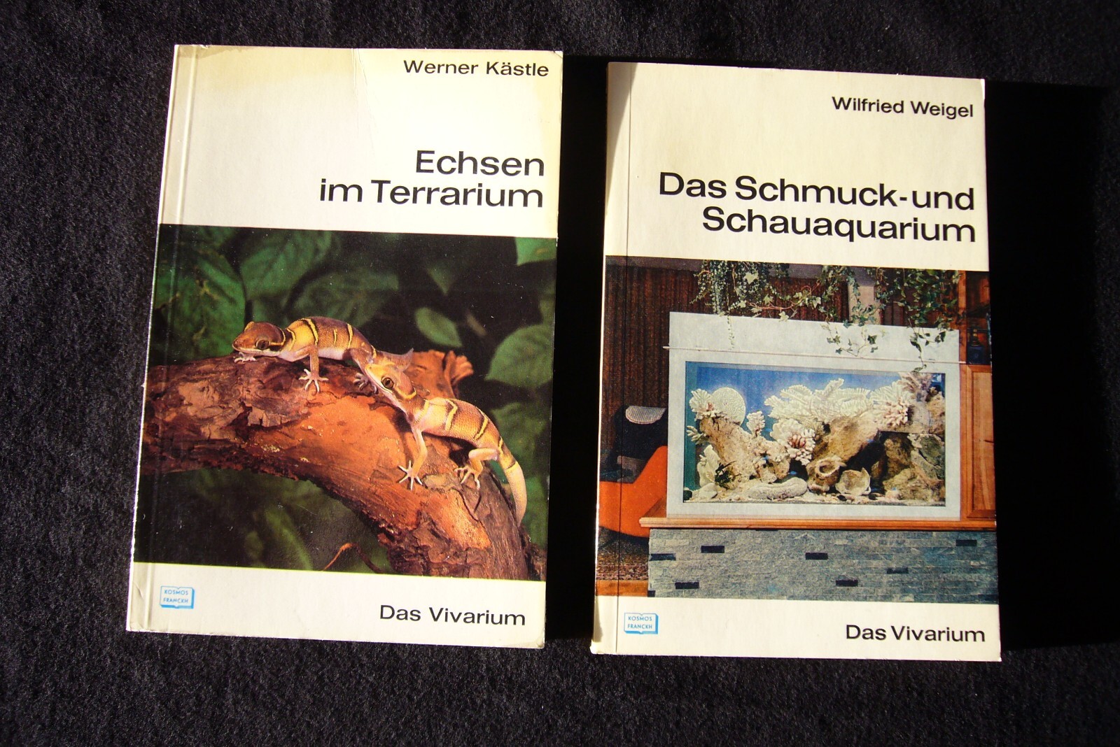 Bild 2 von 7