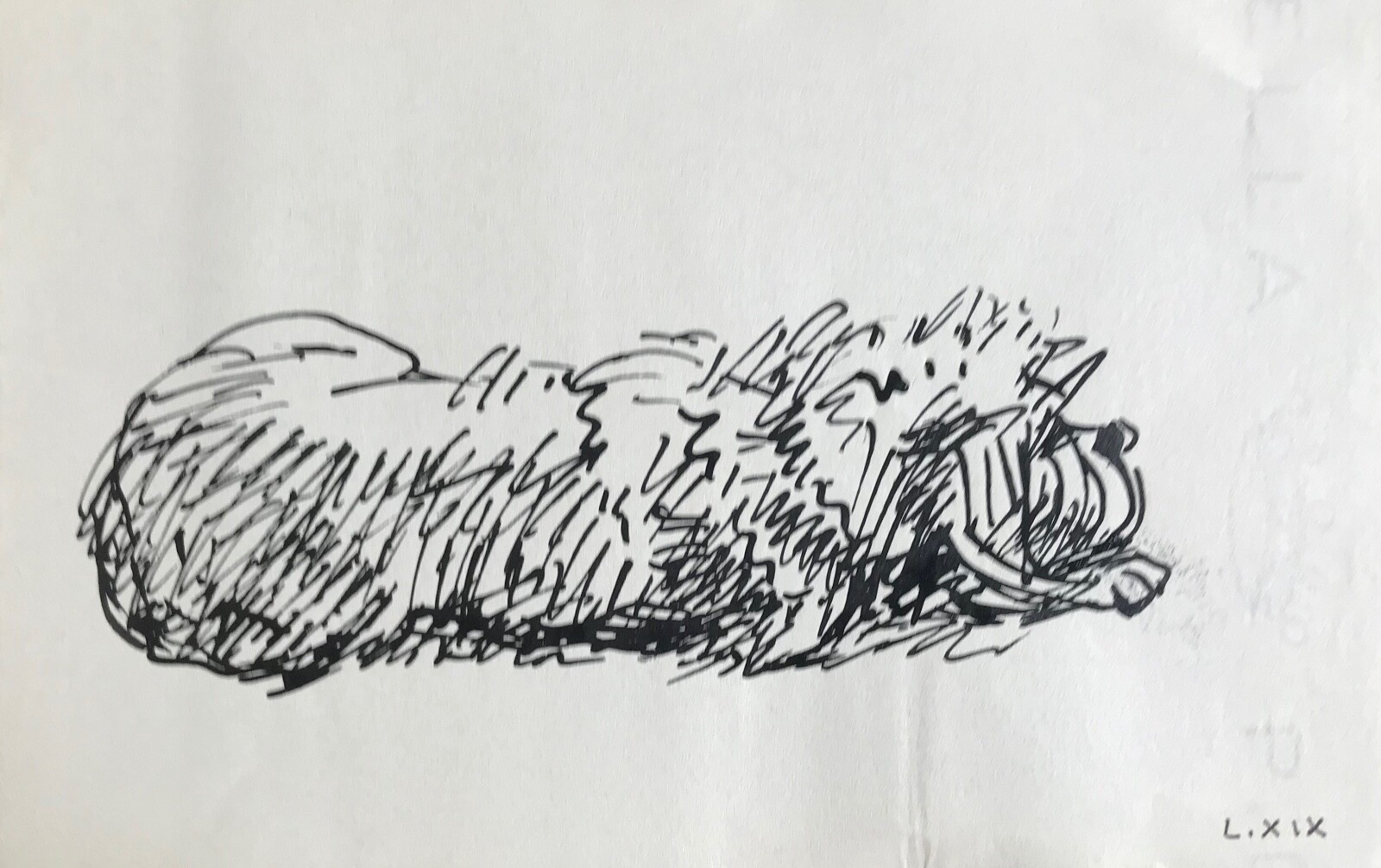 Hélène Vogt Original Ink Drawing Dog 33 Artwork