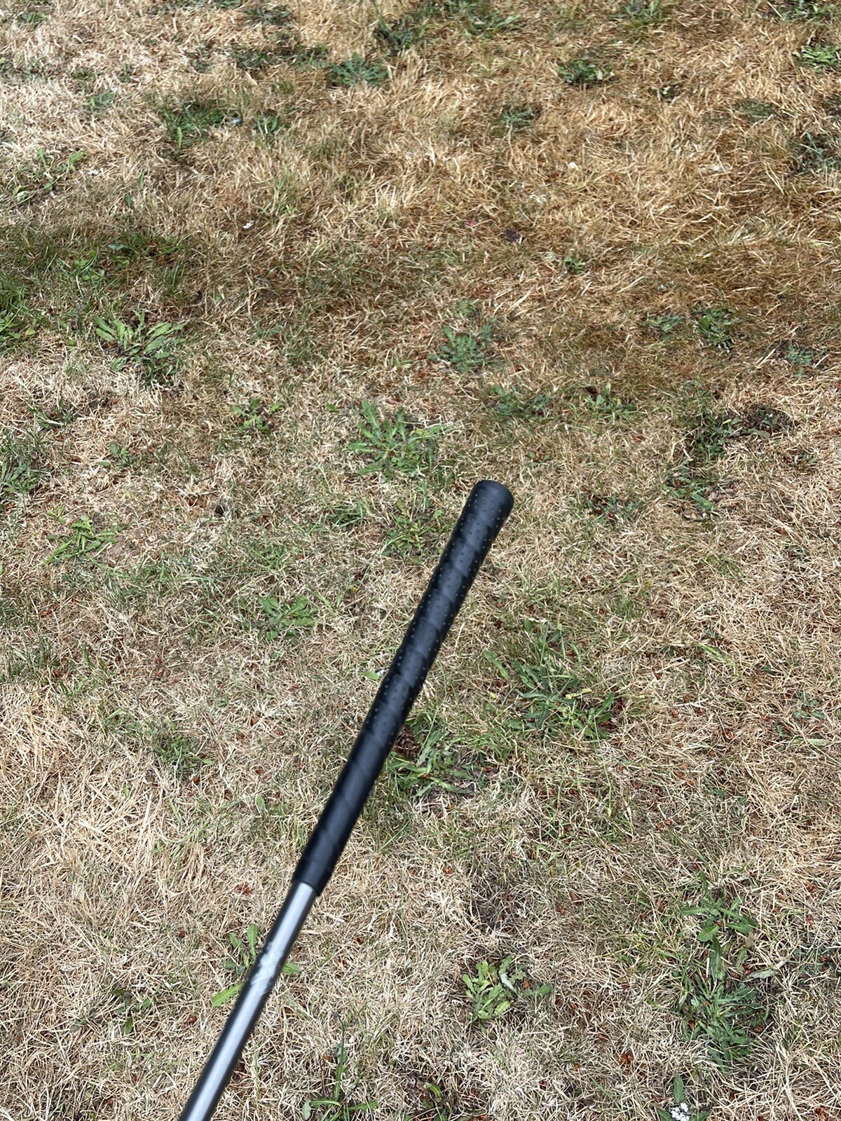 Picture 5 of 7