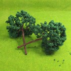 Picture 5 of 6