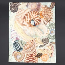 Sea of Shells Original Art Signed SEB 18 X 14 Dated 10/79 NO La New Orleans Flaw