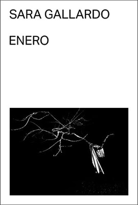 Enero - Spanish Language Paperback NEW Gils, Bas van 22/08/2022