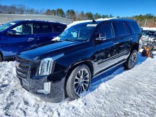 (LOCAL PICKUP ONLY) Roof Glass Fits 18-20 ESC...