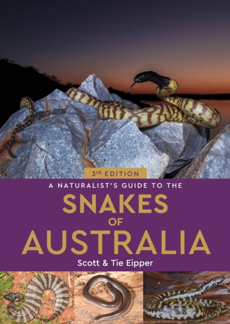 A Naturalist's Guide to the Snakes of Australia by Scott Eipper (Paperback Book)