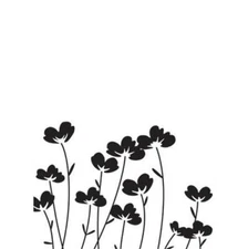  #257 Darice Embossing Folder Essentials  " FLOWERS "30032605