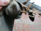 Bild 10 von 10
