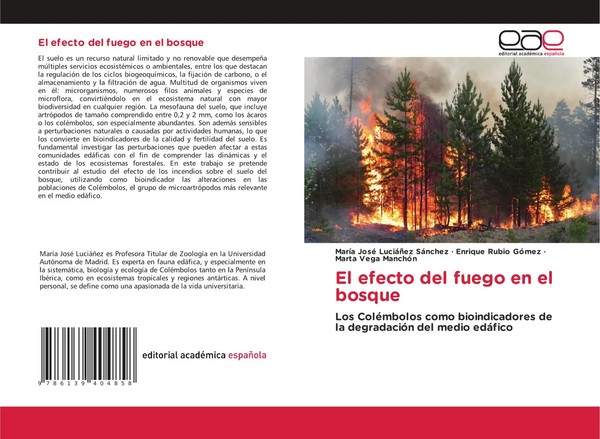 MaríA José LuciáñEz SáNchez (U. A.) | El Efecto Del Fuego En El Bosque | Buch-image