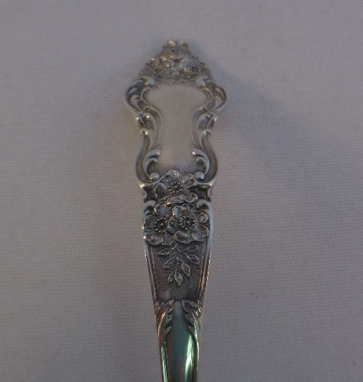 Cucharón Meadow Rose de Watson Sterling Gravy-6 1/8" Foto 4 de 4