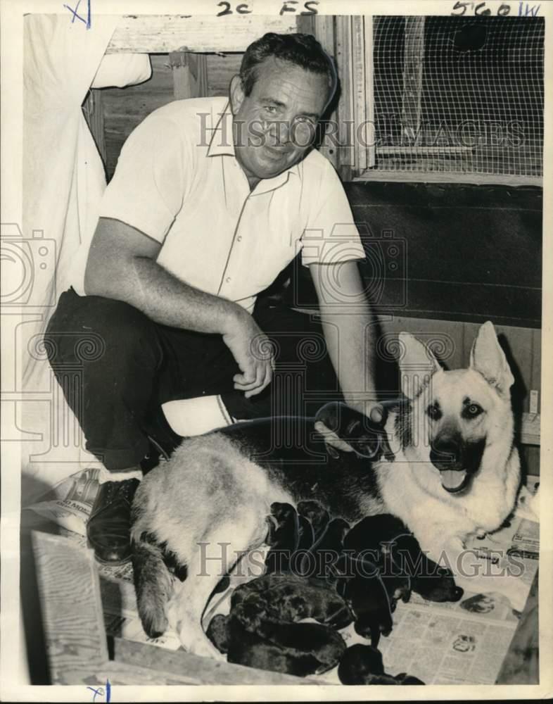 1967 Press Photo Purebred German Shepherd and Litter of 17 Puppies, Eugene  Nunez