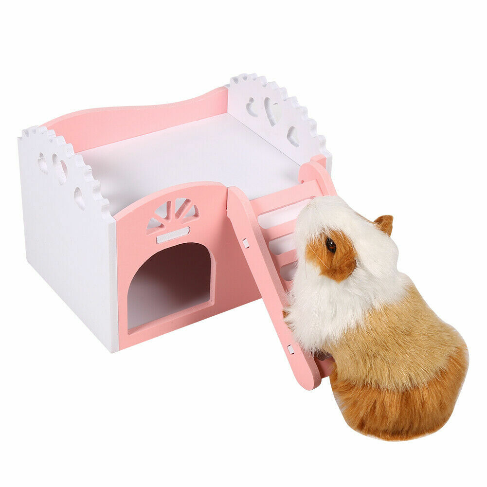 hamster slide