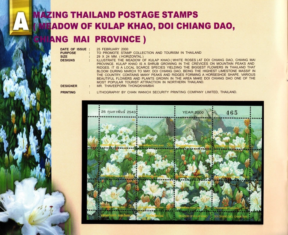 THAILAND 2000 BEAUTIFUL POSTAGE STAMPS BOOK 20 STAMPS & 5 SHEETS HARD TO GET MNH - Image 3 of 4