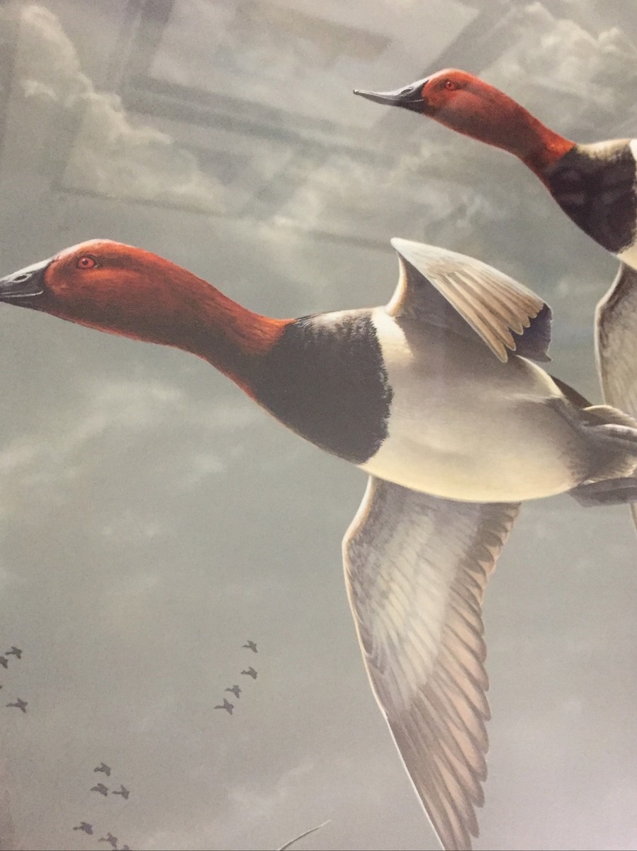 絵画 James Hautman Fowl Weather - Canvasbacks James Hautman,”Fowl Weather - Canvasbacks” Excellent 1503/,5000