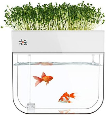 Hydroponic Garden Aquaponic Fish Tank Plants Growing System Self-Cleaning Seed S