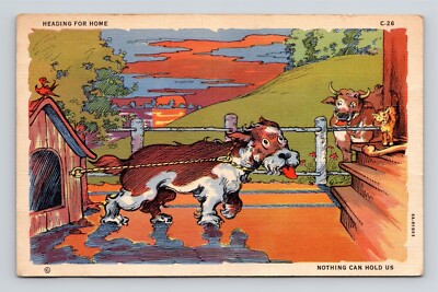 ''Heading For Home, Nothing Can Hold Us''- Curteich- Teich- Humor- Linen Postcard