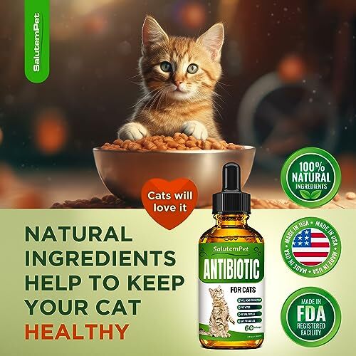 Natural Antibiotics for Cats Cat Antibiotics Supports Cat Allergy Relief eBay