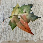 Bild 5 von 6