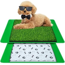 Dog Grass Mat with Pee Pad 20×25", Small Dog Litter Box Indoor Artificial T