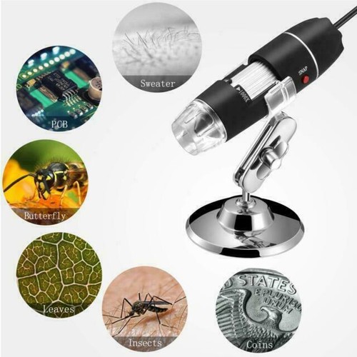 Microscope numérique pour pièces de monnaie, écran LCD de 7, grossissement 1200X, image 1080P