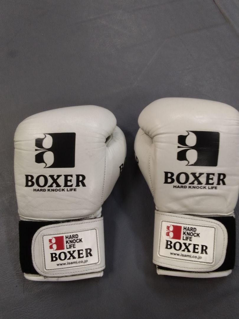 Isami Boxing Gloves Boxer 8 Oz | eBay