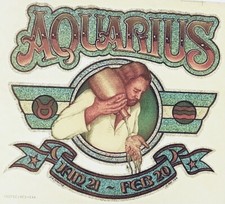 Original Vintage Aquarius Iron On Transfer Glitter Horoscope Glitter
