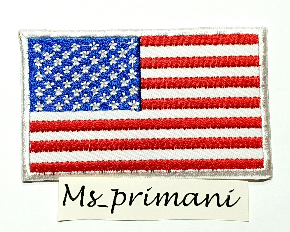 LIVE TO RIDE Brown Eagle USA Flag Biker Patch MC (fer à Coudre Sur 4 - Foto 10