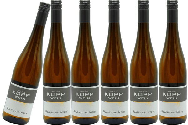 (6 X 0,75L) 23Er Blanc De Noir SpäTlese Trocken ErzeugerabfüLlung Weingut Kopp-image