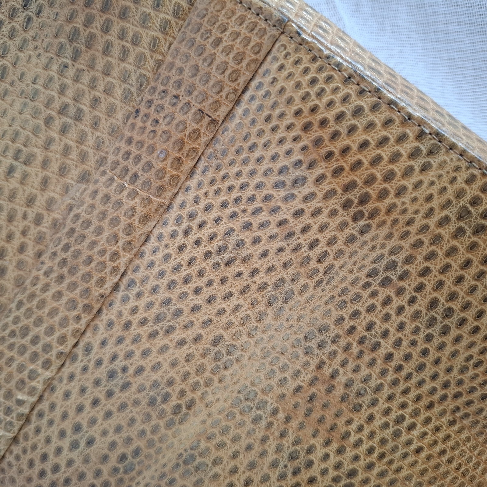 Picture 7 of 11