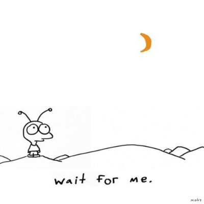 Moby - Wait For Me CD #G2052027