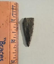Florida/Georgia Pinellas Prehistoric Native American Artifact Arrowhead