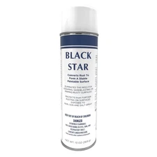 BLACK STAR Rust Converter - Converts on Any Steel Surface 1 Aerosol Spray Can