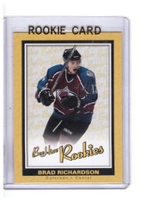 Brad Richardson 2005-06 Upper Deck Bee Hive Rookie Card #94