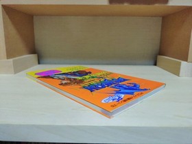 Dragon Spirit PC Engine Strategy Guide Complete Map Series 5 Good Condition