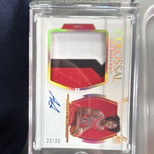Panini National Treasures Ayo Dosunmu Rookie Patch Auto Pink /25 Bulls
