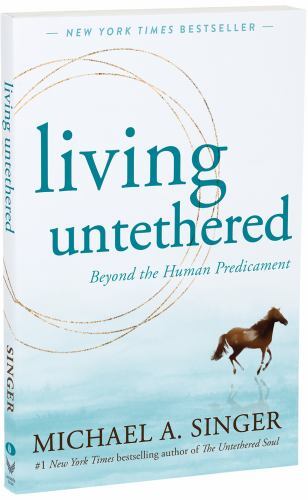 Living Untethered Michael Singer Paperback Spirituality Meditation Self Help - Image 2