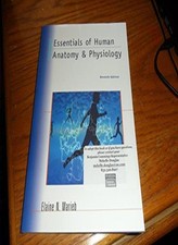 Essentials of Human Anatomy and Physiology-Elaine Marieb