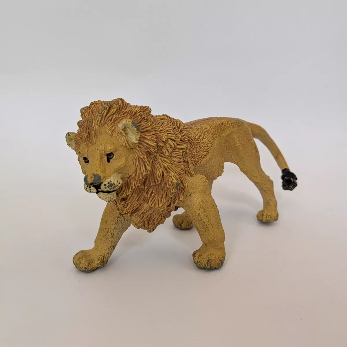 Why do male lions roar? - African Safaris Ltd