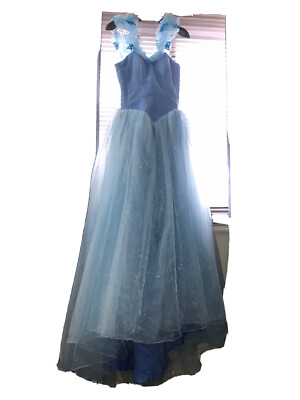 cinderella dress adult