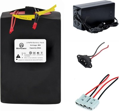 36V 10Ah-25Ah Lithium Lifepo4 EBike Battery for Electric Bike 30A BMS 3A Charger
