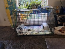 Dog Crate