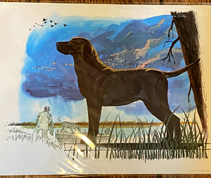 Vintage Dog Print - Labrador Retriever