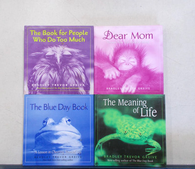 4 BRADLEY TREVOR GREIVE # HC W/DJ DO TOO MUCH DEAR MOM BLUE DAY MEANING OF LIFE