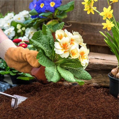 50pcs Coconut Soil Disc Coir Soil Block Coconut Potting Fibre Compressed Soil - Picture 11 of 12