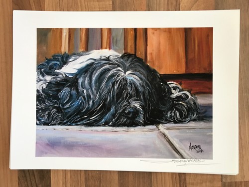 Tibetan Terrier Signed Dog Print by Susan Harper Unmounted - Picture 2 of 2
