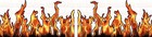 Bild 6 von 6