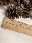 LOT of 52, various sizes of TN Pine Cones 1" to 3” Fall/Holiday Deco or Crafts — photo 9