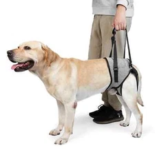 Dog Lift Harness For Old Disabled Injuries Pet Soft Padded Dog Back Leg Support
