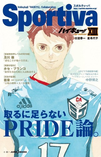 Haikyuu romanzo versione sportiva limitata set completo 13 e 13 copertine libri incluse - Foto 17 di 19