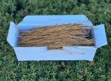 Red Pine Needles, Dried, 4 ounces